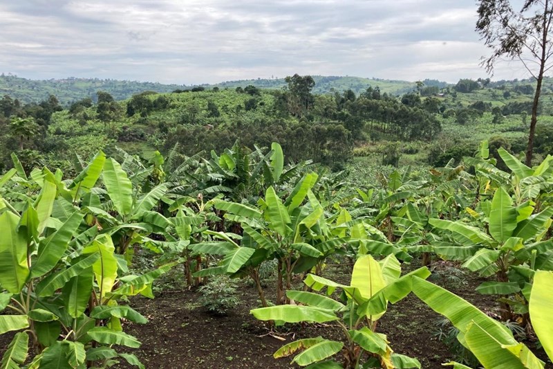 New CORDIS Article Highlights BIO4Africa’s Impact on Circular Bio-Based Solutions in Rural Africa